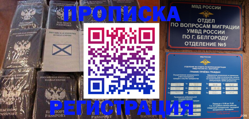 прописка гарантия в Куровском